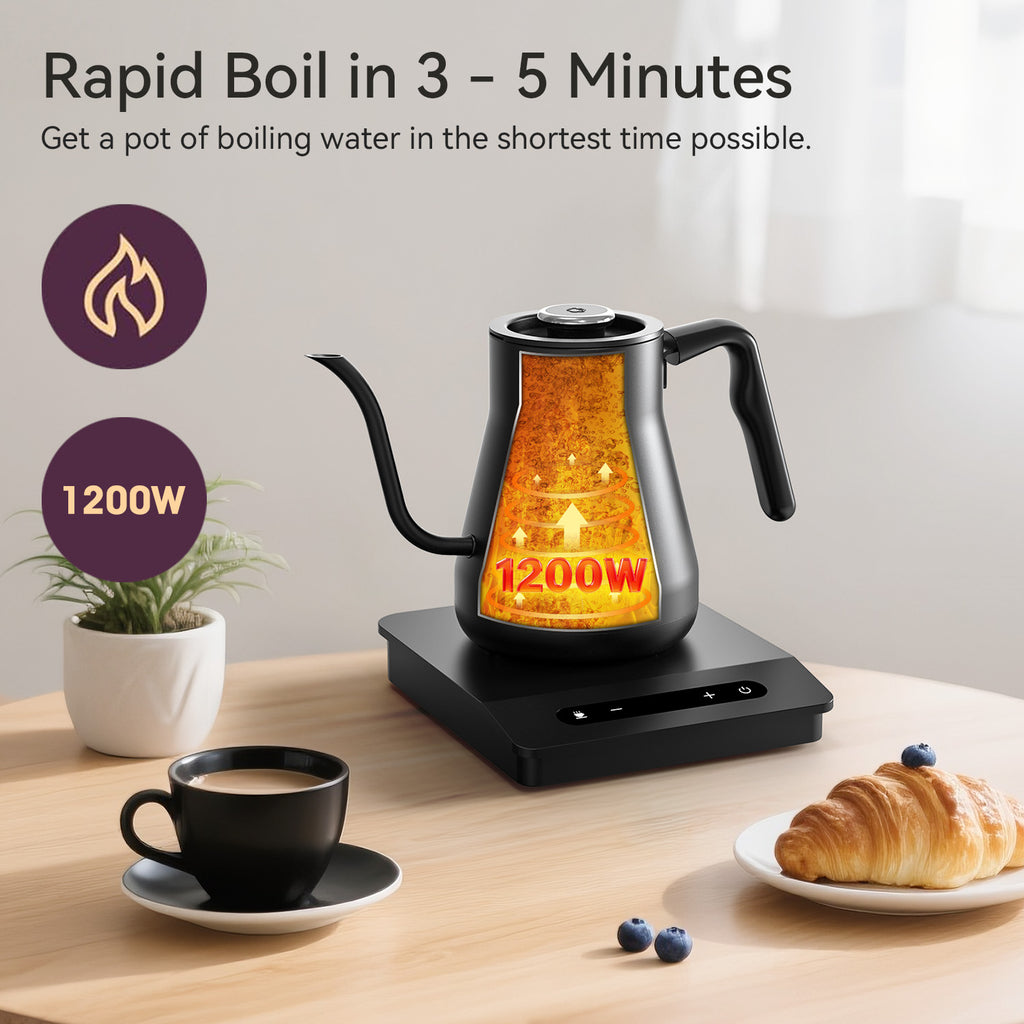 Gooseneck Electric Kettle With Temperature Control